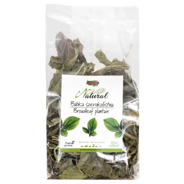 Alegia Natural Babka szerokolistna 100g