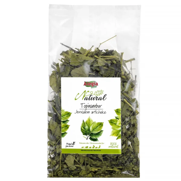 Alegia Natural Topinambur suszony 100g