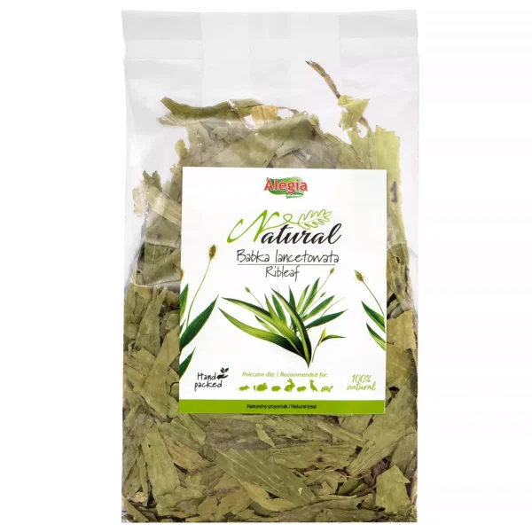 Alegia Natural Babka Lancetowata 100g
