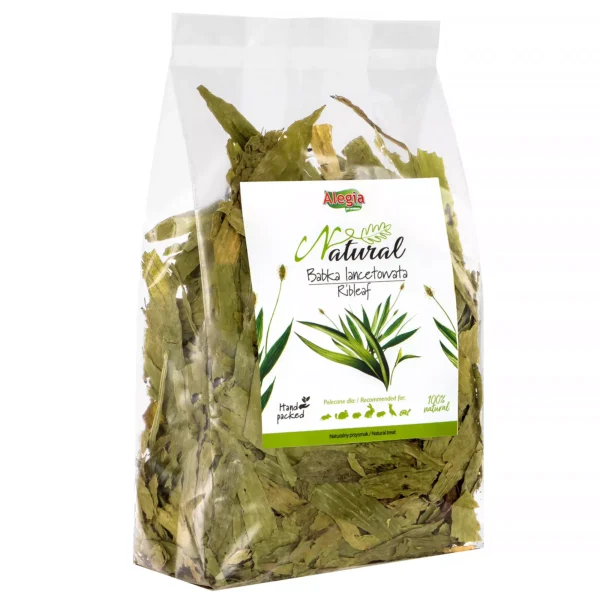 Alegia Natural Babka Lancetowata 100g - obrazek 2