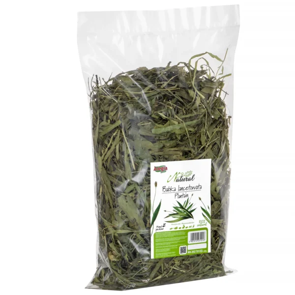Alegia Natural Babka Lancetowata 300g - obrazek 2